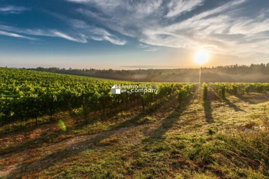 6khkgtPkcHKak7DJGEjCsO