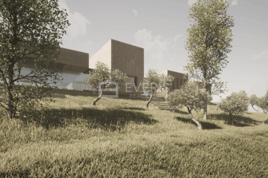 1682316985 image11 1