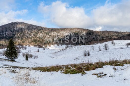 1736938714 dario zemljiste 1 of 14