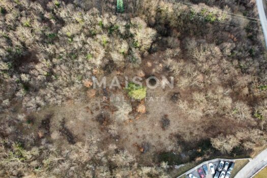 1739274905 dji fly 20250210 160250 860 1739260216743 photo optimized