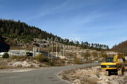 1741013715 whatsapp image 2025 03 01 at 17