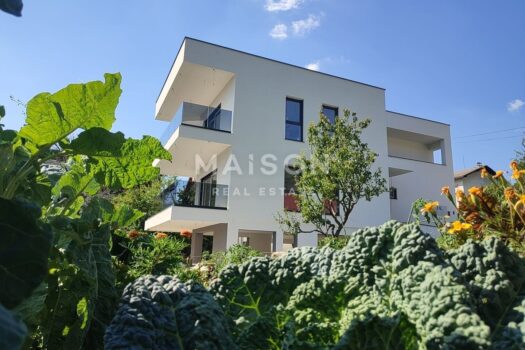 1742403620 photo 2023 09 12 11 21 02