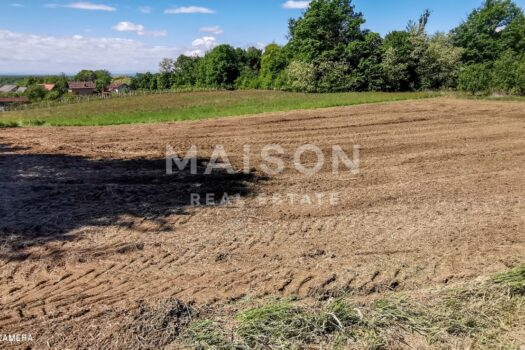 1743444862 whatsapp image 2025 02 18 at 19