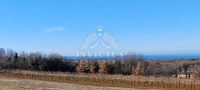 1743531687 2026511308 264382 0