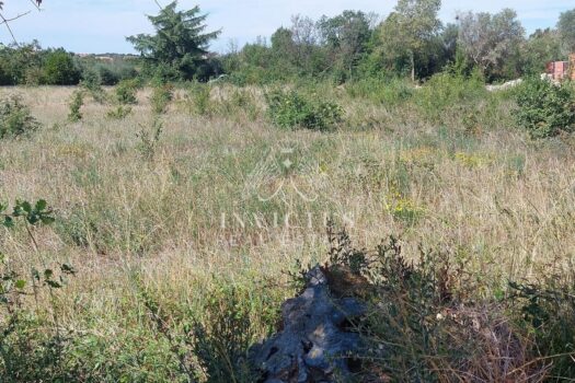 1743532205 1263413478 264394 0