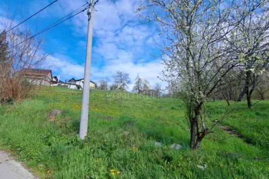 1743923546 20250404 094944