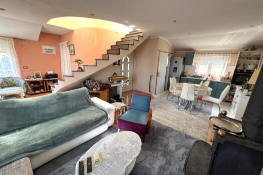 1744038750 1000027538