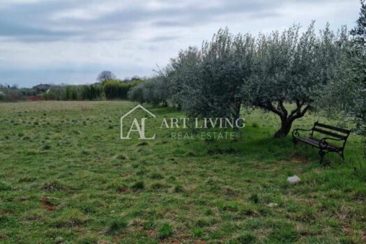 1744889908 image00007