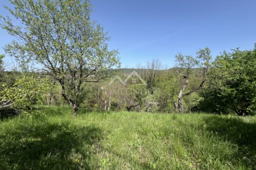 1745484752 img 0957 1