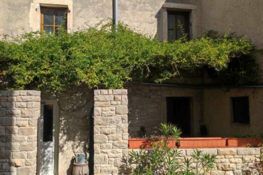 1745502646 1000029387