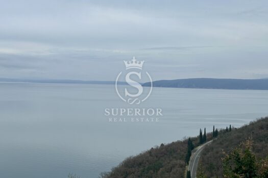 1745829445 img 0758 2