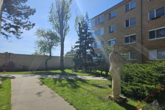 20250416_150036_resized