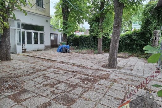 20240516_150121_resized