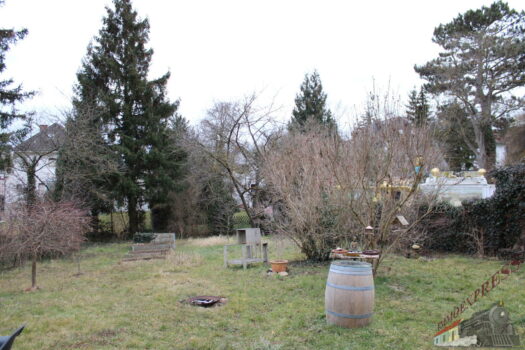 Baugrund für moderne Villa oder Einfamilienhaus in Fischamend - Eigengrund IMG_1553