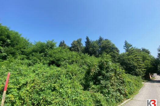 K3 - NEU - SONNIG GELEGENE HANGBAUGRÜNDSTÜCKE - NÄHE ZENTRUM UND STIFT VIKTRING 1WXhmabUOxTsZLQsGtIljZ
