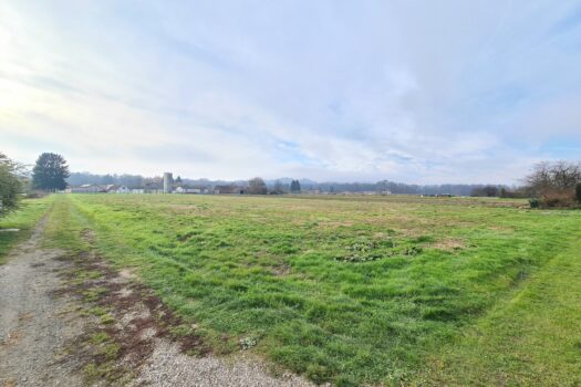 1p3ZOSkIA1iPDnUZpcwrEN