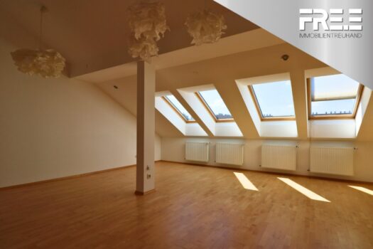 1sKiY9ycYelkeAKd3na22u