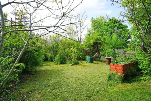 229oIwSGUoCBk0NnfXA15h