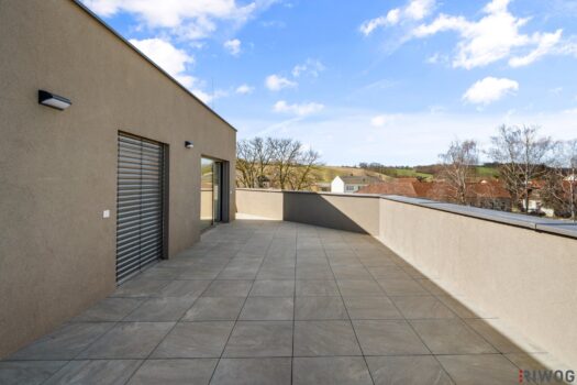 22FnllLuToSFWmUHwFNvP7