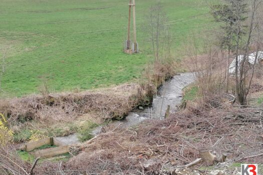 2EDudnTFJ7aY11m0wqgmm9