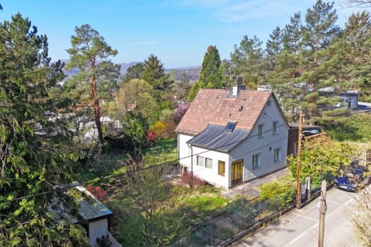 2OKCvigYok7XvpwZVO3NG7