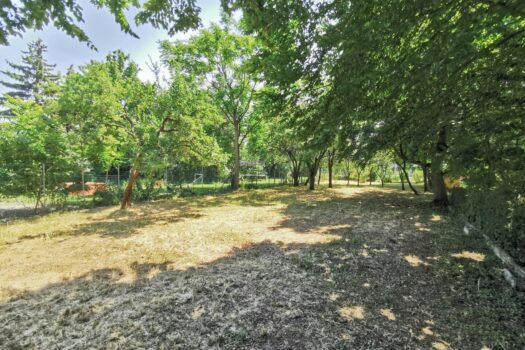 2o8gnAWPYKLRqxq7G6Zt1K