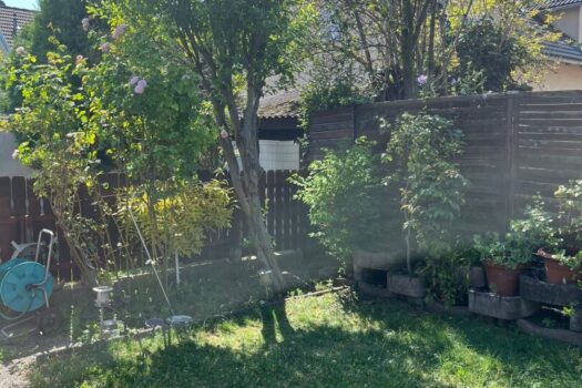 2p898S1JwJdjkfwV8NOWm5