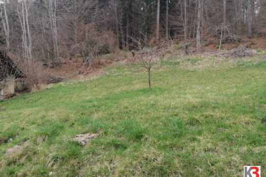 3OaiCTm9mSipeu7qlxsHKp