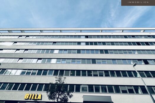 3gRA8arSQvIL9zEEuBe2WZ