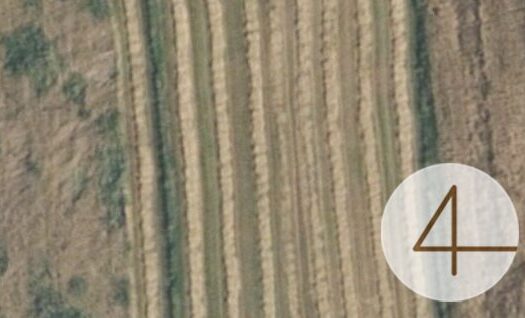 5Qypl9HYCF6NyMcyuM6GDz