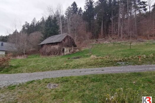 5uggNUvn9NnQV0IQxQb63k