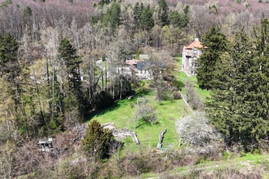 6JX0lWyFaev6gbIppkLr69