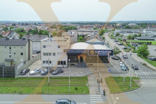 Anlageobjekt bestehend aus Gewerbe- und Büroräumlichkeiten sowie Betriebswohnungen in Pasching zu verkaufen! 6RjSndZ5PnvFHJKPLtRPzK