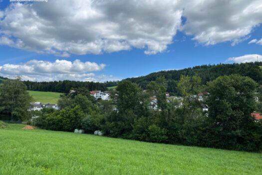 6UsVJ2OFJlZFPb3ktp2Ono