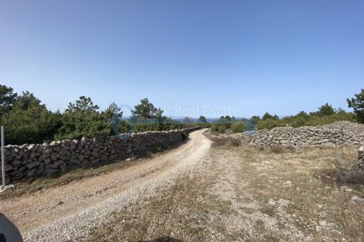 1614250006 2021 02 24 12