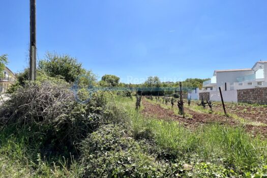 1651149863 2022 04 28 13 2