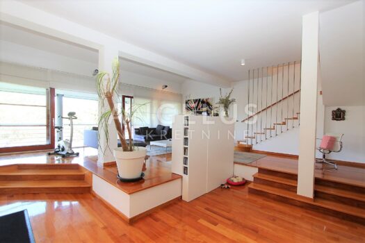 1663063133 img 7603 1