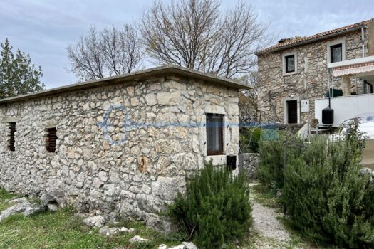 1670937884 2022 12 13 12