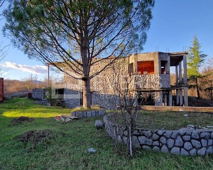 1673957202 20230110 152719