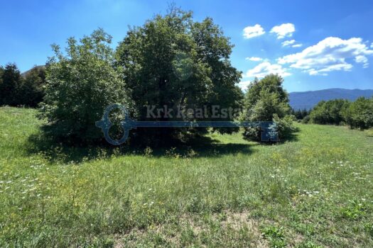 1674807327 2022 08 05 12