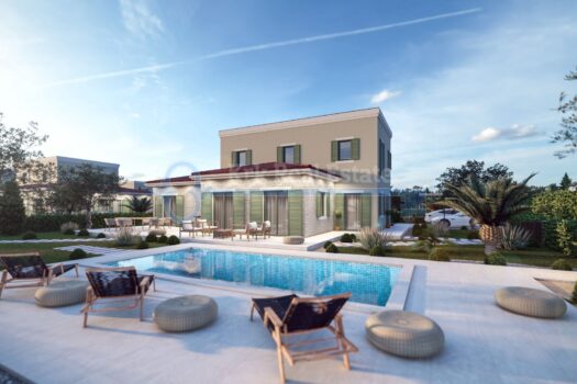 1699092119 1 13 photo