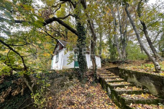 1700653300 img 20231122 wa0013