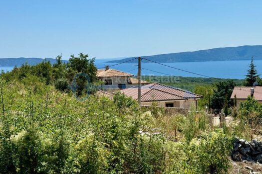 1722073123 image 123650291 1