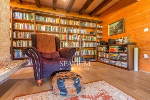 1725955313 164719297