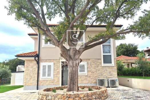 1726242077 20240913 123244