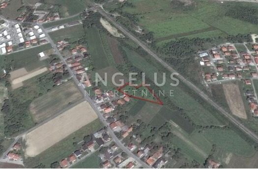 1732184128 sveta klara