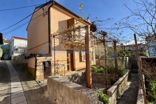 1734515497 2024 12 11 12