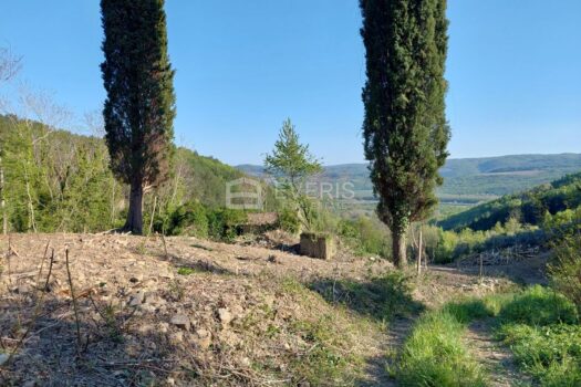 1740041460 zarvsje 2