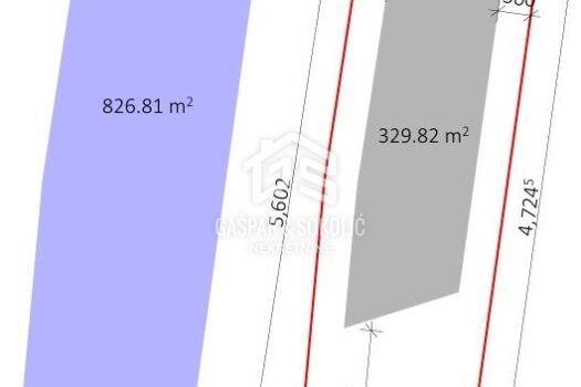 1740885666 912504411 258969 0