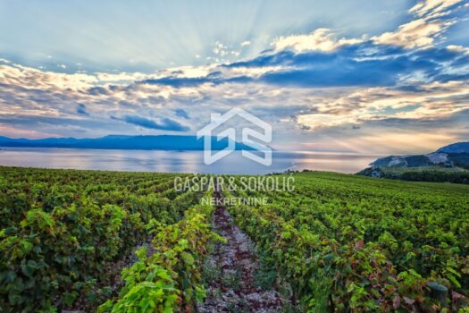 Grundstück Bol, Split, Brač, 60.000m2 1740908167 1171289042 259350 0